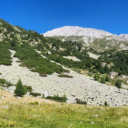 Apartmanica Double With Balcony 101-30 St Ivan Rilski Διαμέρισμα Μπάνσκο