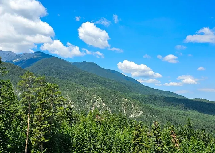 Apartmanica Double With Balcony 101-30 St Ivan Rilski Apartment Bansko