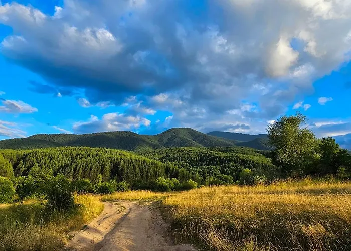 Apartment Apartmanica Double With Balcony 101-30 St Ivan Rilski Bansko